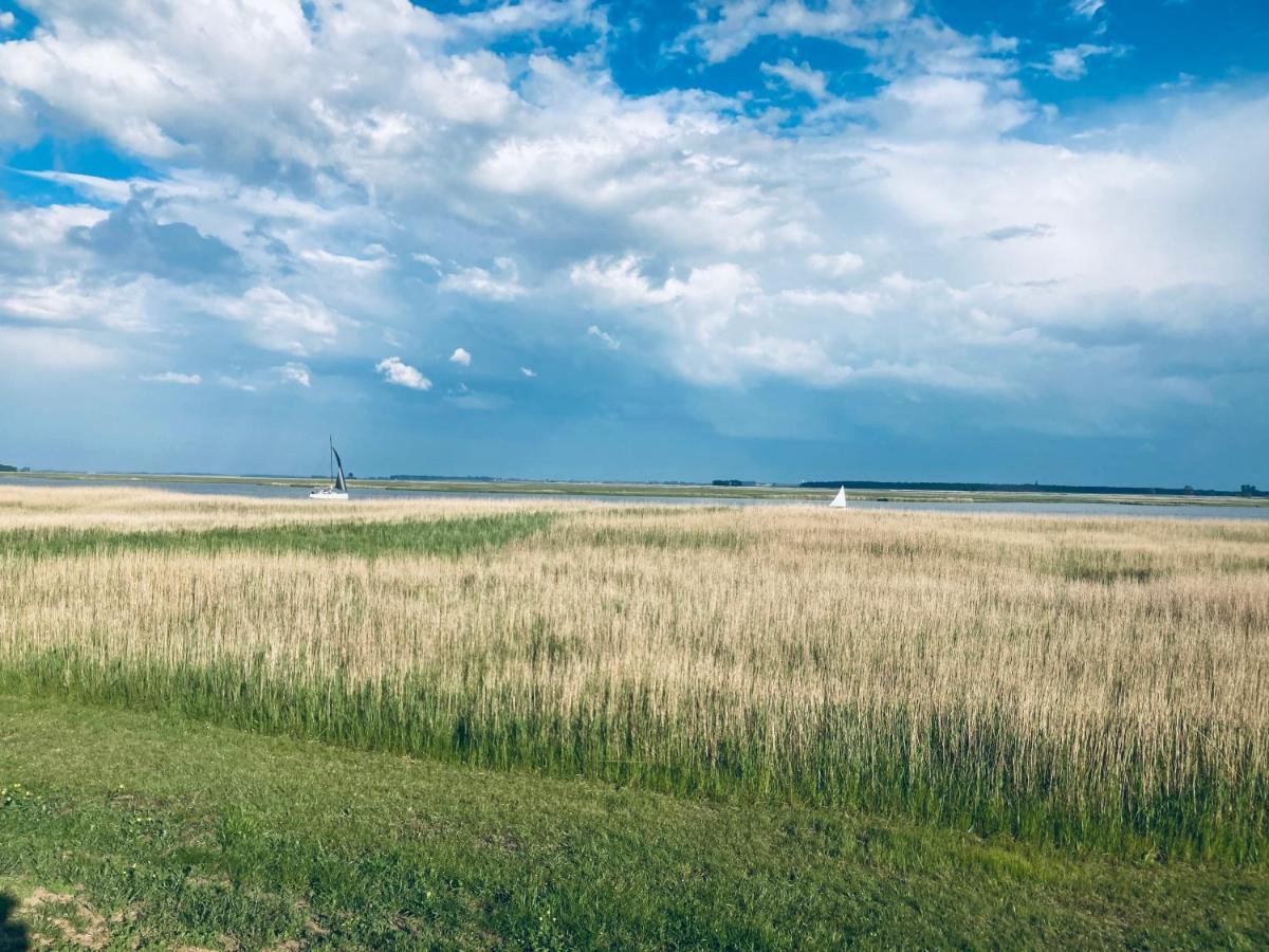 Fewo VI Villa Nicole Hafenstrasse 37 Zingst Kültér fotó