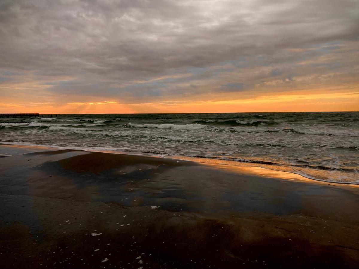 Fewo VI Villa Nicole Hafenstrasse 37 Zingst Kültér fotó